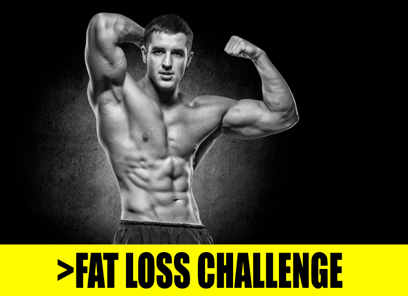 fat loss challenge gul