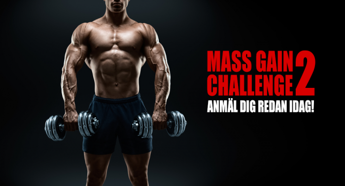 mass gain challenge 2
